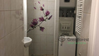 Debrecen, Close To Plaza, flat  
