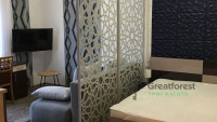 Debrecen, Close To Plaza, flat  