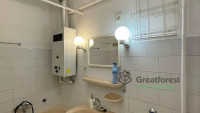 Debrecen, Greatforest Area, flat  