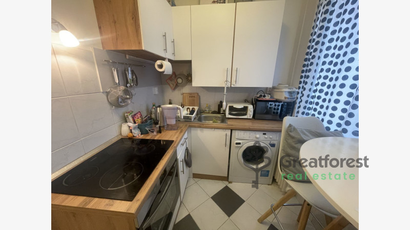 Debrecen, Close To Main Campus, flat  