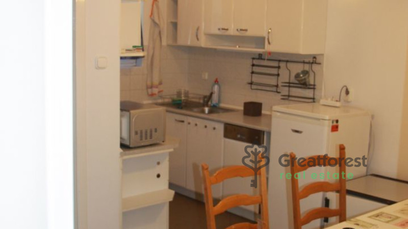 Debrecen, Close To Main Campus, flat  