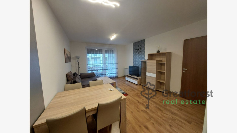 Debrecen, Close To Main Campus, flat  