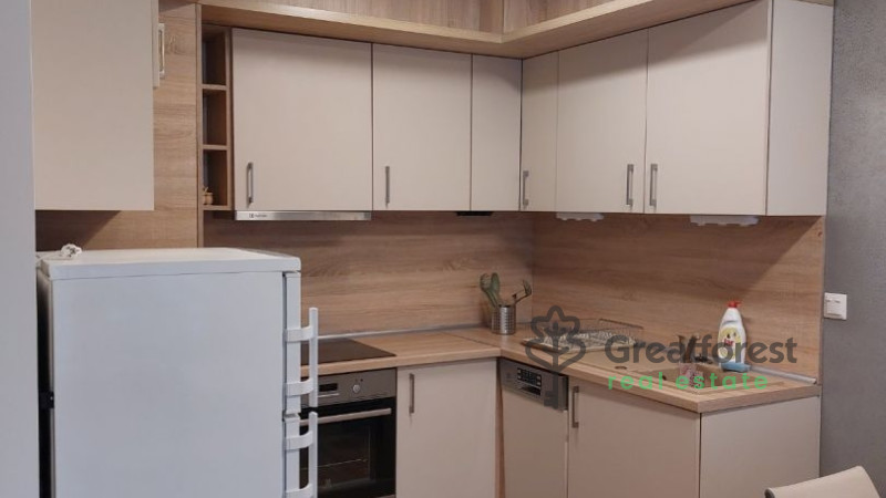 Debrecen, Close To Main Campus, flat  