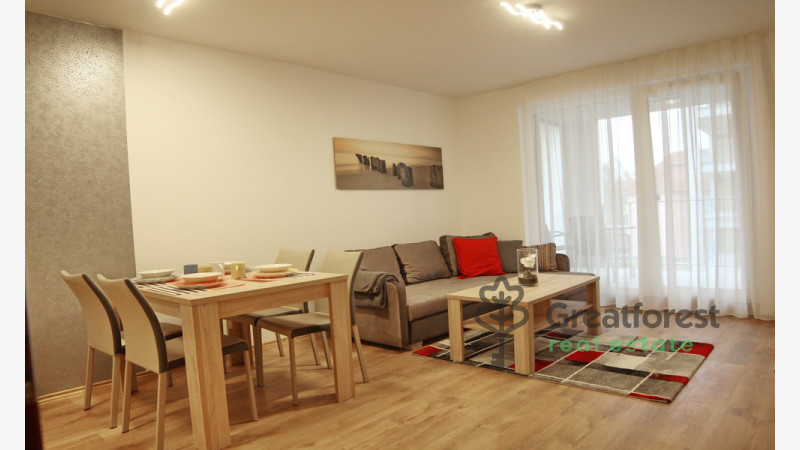 Debrecen, Close To Main Campus, flat  