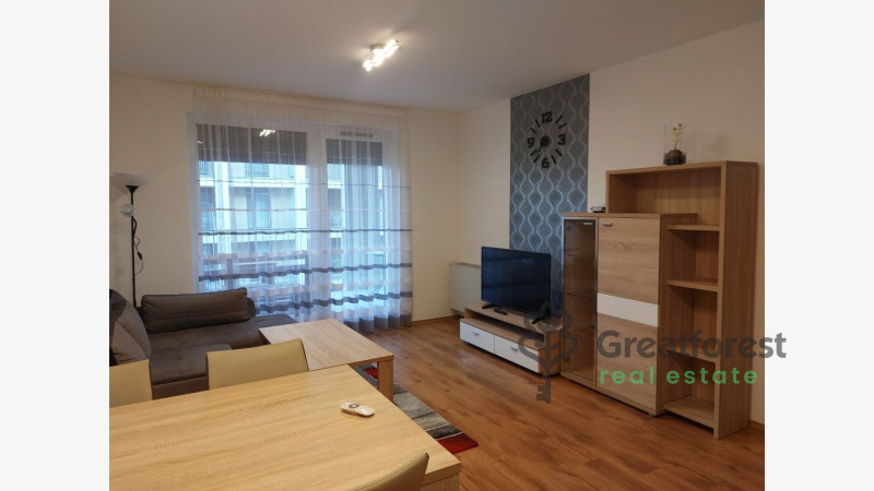 Debrecen, Close To Main Campus, flat  