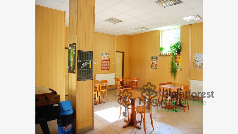Debrecen, Kassai Campus Area, commercial premises not in shopping center  