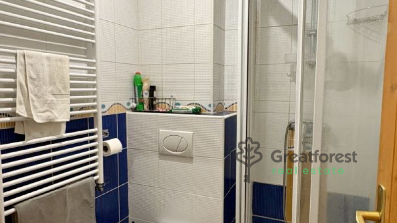 Debrecen, Greatforest Area, flat  