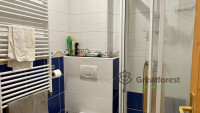 Debrecen, Greatforest Area, flat  
