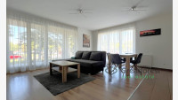 Debrecen, Close To Main Campus, flat  