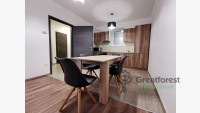 Debrecen, flat  