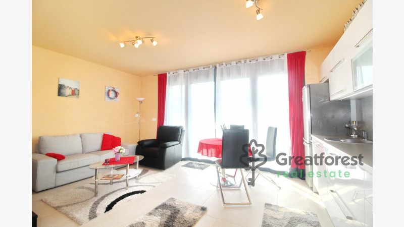 Debrecen, Greatforest Area, flat  