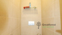 Debrecen, Greatforest Area, flat  