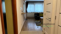 Debrecen, Greatforest Area, flat  