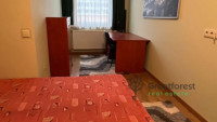 Debrecen, Greatforest Area, flat  