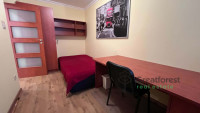 Debrecen, Greatforest Area, flat  