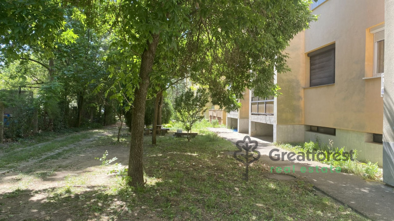 Debrecen, Close To Main Campus, flat  