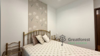 Debrecen, Bem Square, flat  