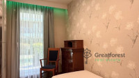 Debrecen, Bem Square, flat  