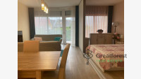 Debrecen, Close To Plaza, flat  