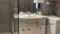 Debrecen, Close To Plaza, flat  