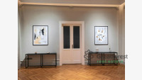 Debrecen, City Center, flat  