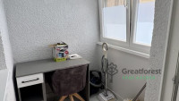 Debrecen, City Center, flat  