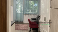 Debrecen, City Center, flat  