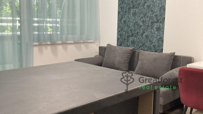 Debrecen, City Center, flat  