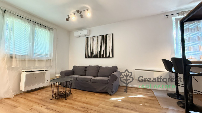 Debrecen, Greatforest Area, flat  