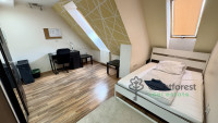Debrecen, Close To Bem Square, flat  