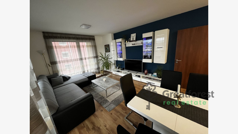 Debrecen, Close To Main Campus, flat  