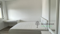 Debrecen, City Center, flat  