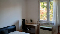 Debrecen, Close To Main Campus, flat  