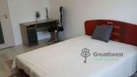 Debrecen, Close To Main Campus, flat  