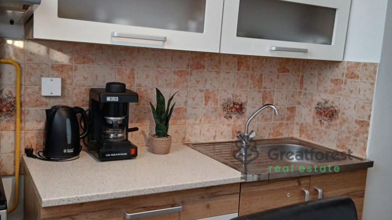 Debrecen, Close To Main Campus, flat  