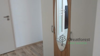 Debrecen, Close To Main Campus, flat  