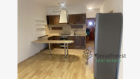 Debrecen, City Center, flat  