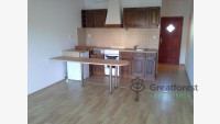 Debrecen, City Center, flat  