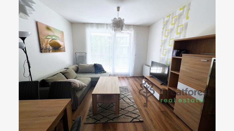 Debrecen, Close To Main Campus, flat  