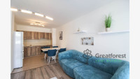 Debrecen, Close To Plaza, flat  