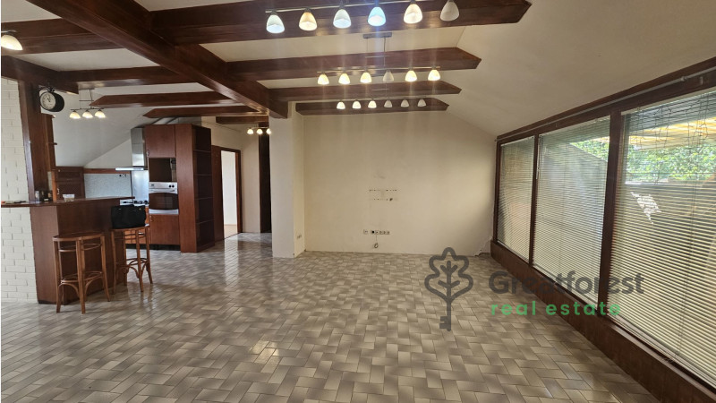 Debrecen, City Center, flat  
