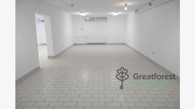 Debrecen, Close To Bem Square, commercial premises not in shopping center  