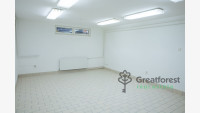 Debrecen, Close To Bem Square, commercial premises not in shopping center  