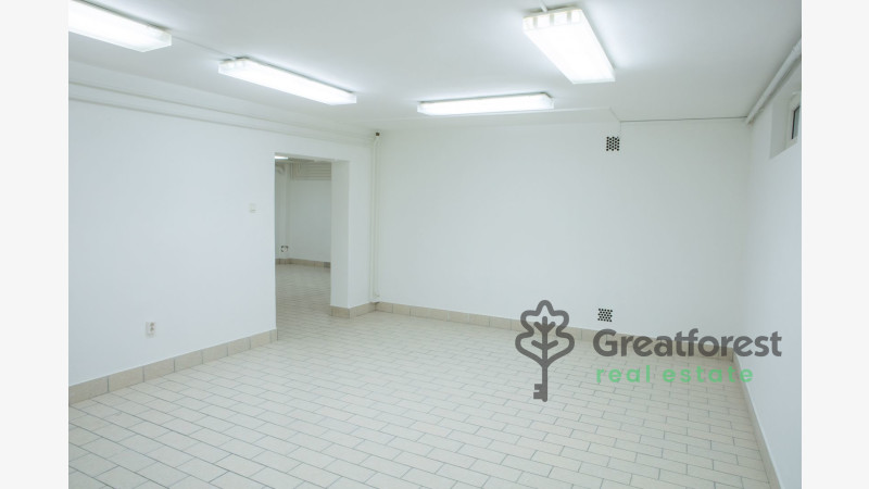 Debrecen, Close To Bem Square, commercial premises not in shopping center  