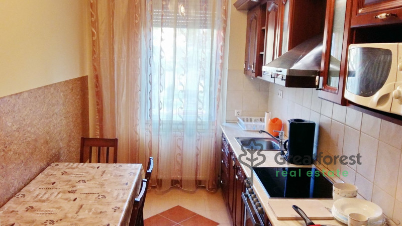 Debrecen, Close To Main Campus, flat  