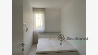 Debrecen, Close To Kassai Campus, flat  