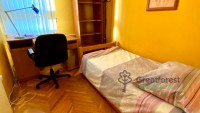 Debrecen, City Center, flat  