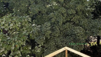 Debrecen, Close To Plaza, flat  