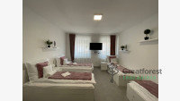 Debrecen, Kassai Campus Area, weekend house  