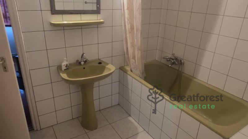 Debrecen, Greatforest Area, flat  